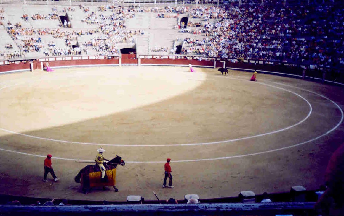 bullfight12.jpg