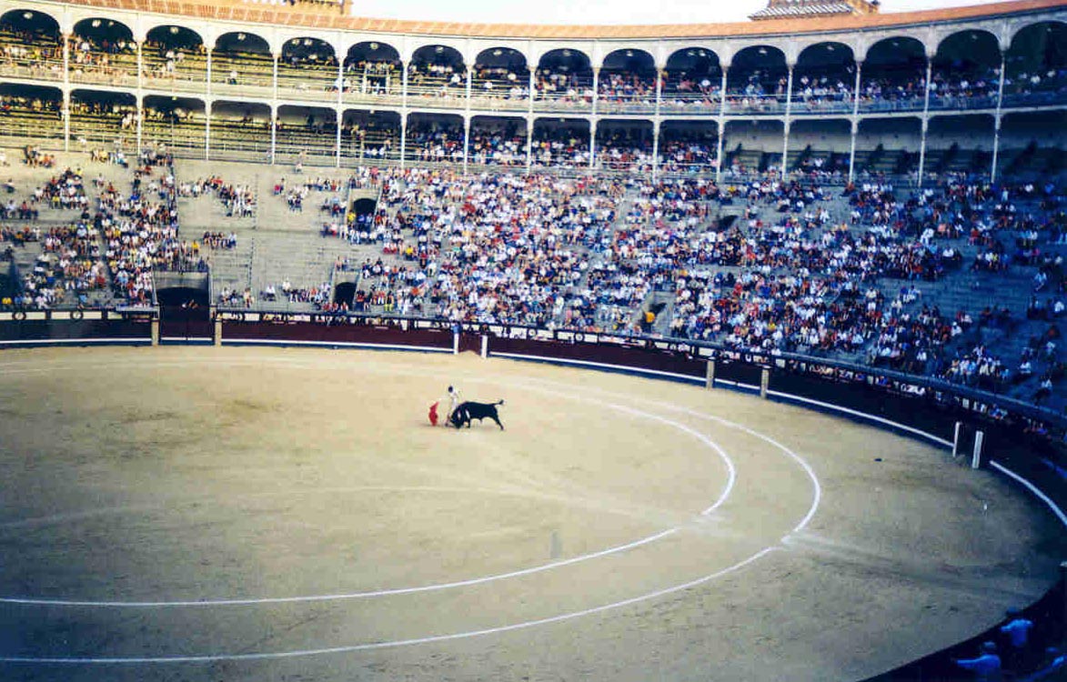 bullfight22.jpg